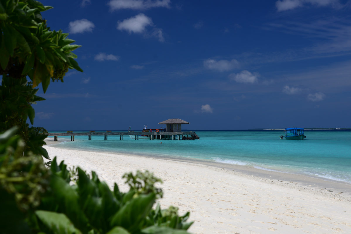 Reiser til Det indiske hav - Naturopplevelser | Kenzan Travel