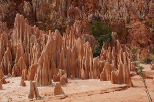 Resa till Madagaskar Red Tsingy Amber Mountain