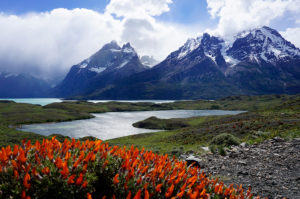 Resa till chile Torres del Paine nationalpark
