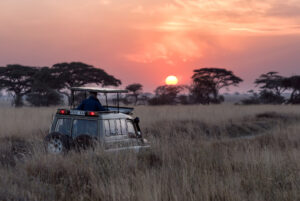 Bästa Tanzania safari