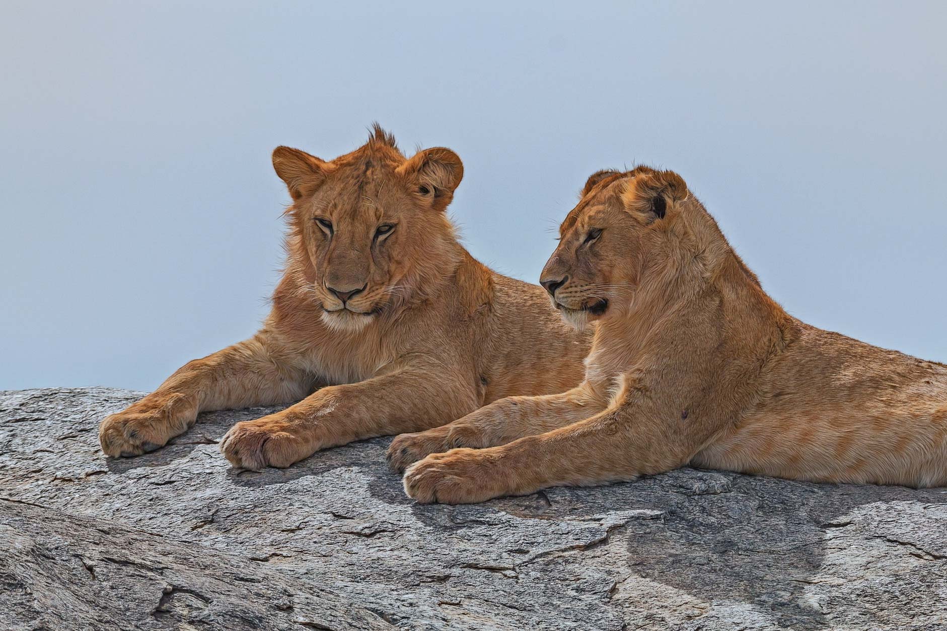 Det-basta-av-Tanzania | Kenzan Travel | Kenzan Travel