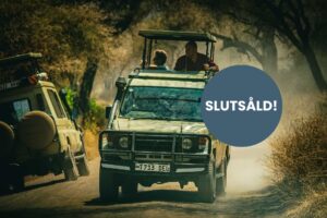 Gruppresa till Tanzania; Kenzan Travel, höst